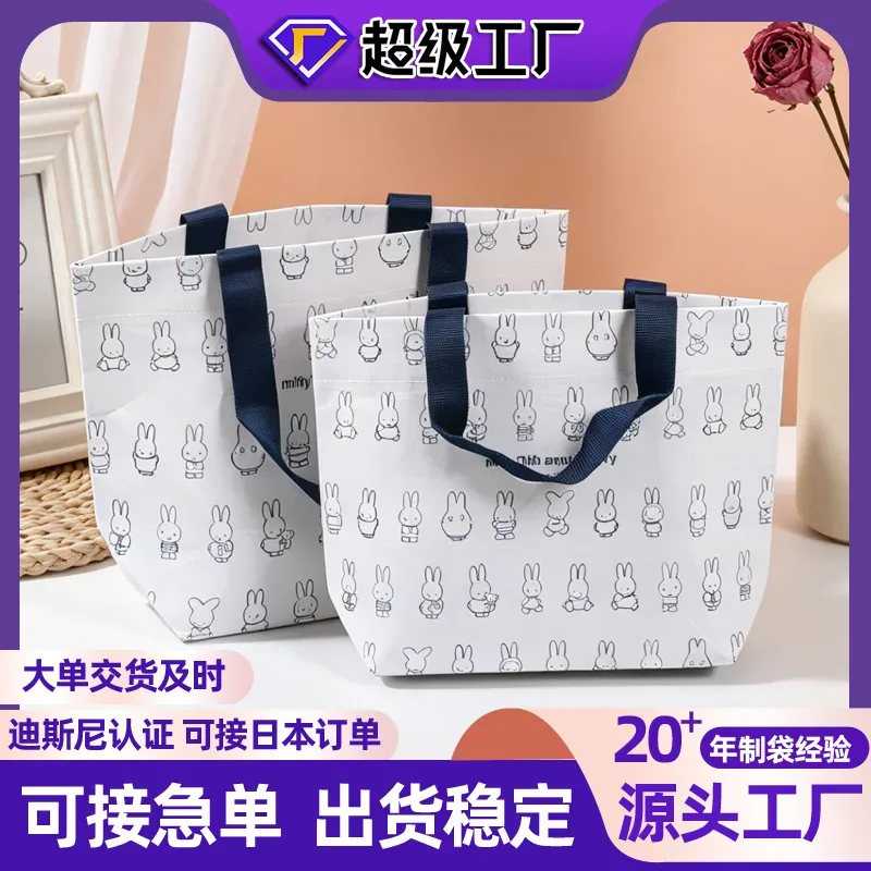 Eco-friendly new cloth handbag large capacity waterproof storage bag student commuter lunch bag children gift bag
