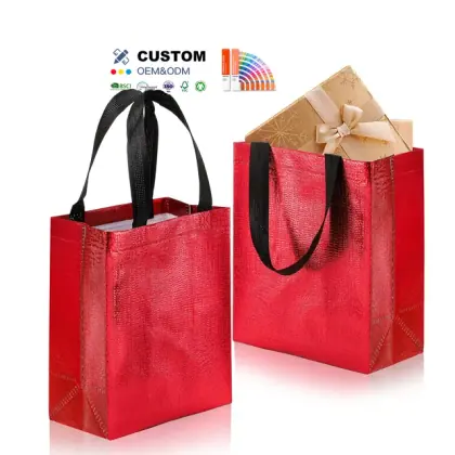 Customized Printing Capacity Reusable Shopping Tote Coated Bag Polypropylene Laminated Non Woven Bag