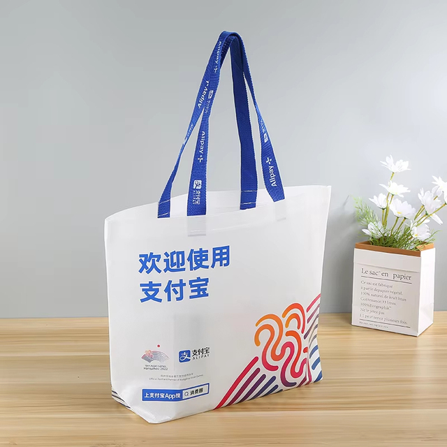 Eco Friendly Non Woven Recycled the Tote Bag Vendor Carrier Bag Shopping